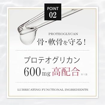 北国の恵み プロテオグリカン グルコサミン コンドロイチン コラーゲン　３袋 北国の恵み 93粒 約1ヶ月分 プロテオグリカン サプリ